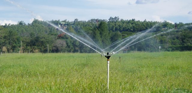 Irrigation