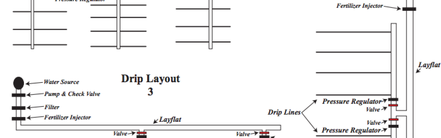 Charts/Layouts