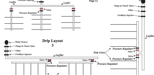 Charts/Layouts