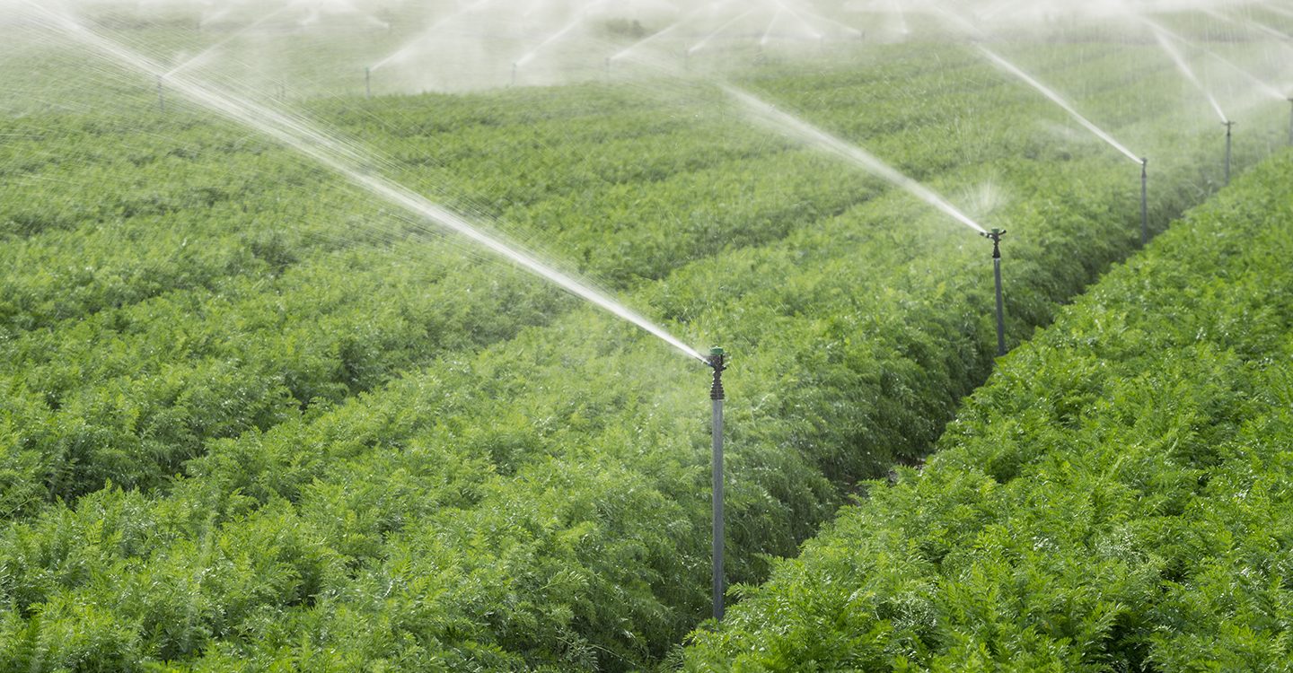 Home RainFlo Irrigation