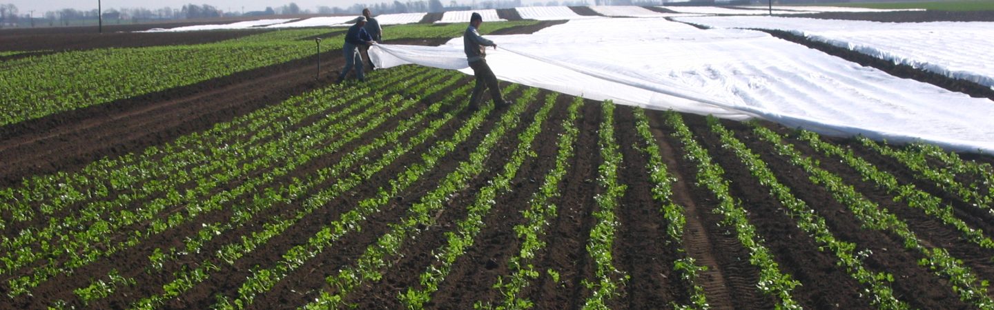 Crop Cover