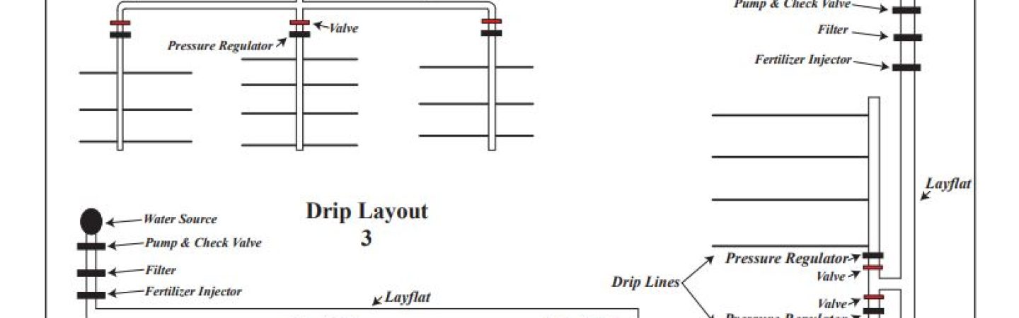 Drip System Layouts