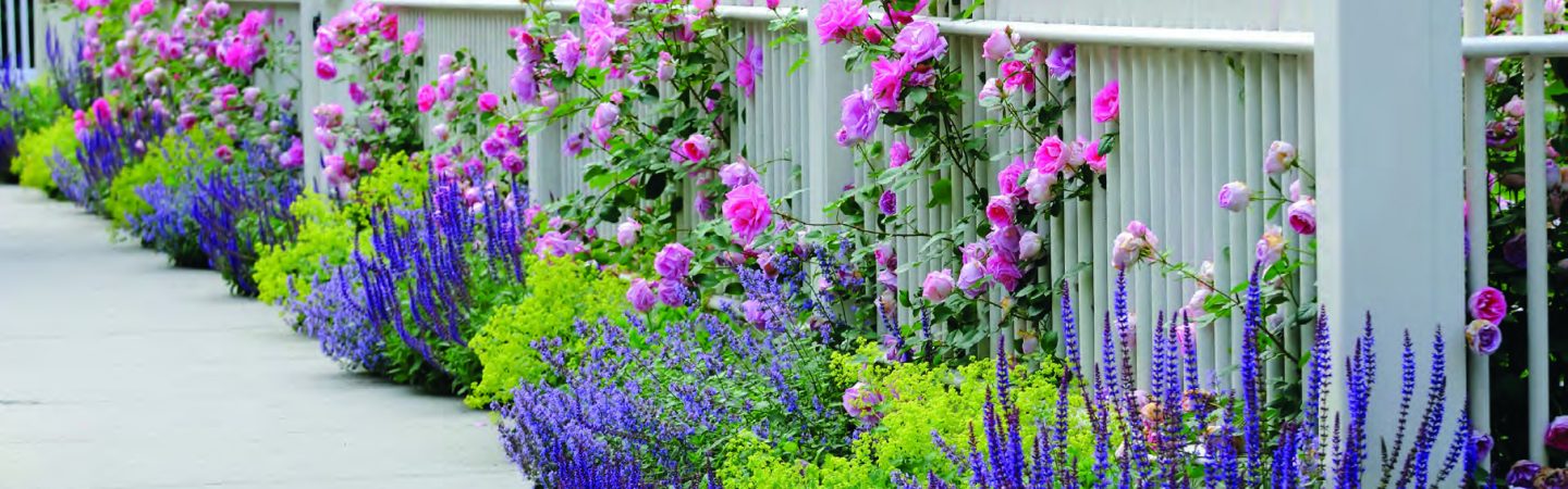 Garden/Flower Kits