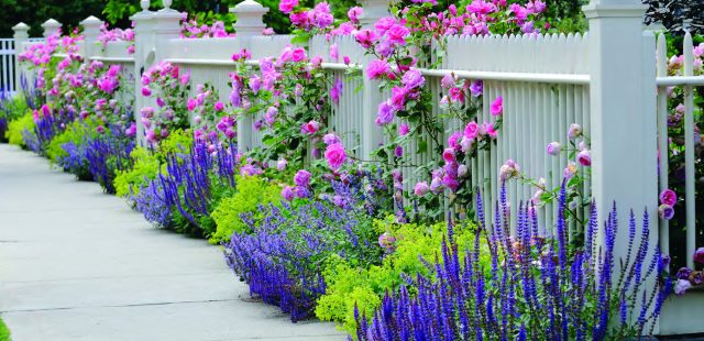 Garden/Flower Kits