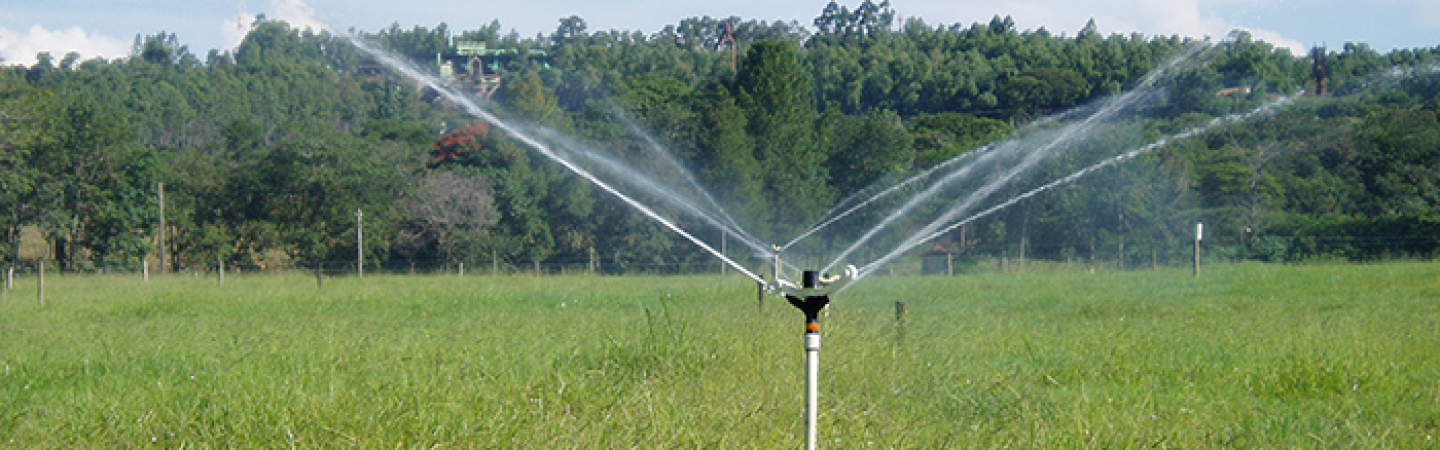 Sprinklers