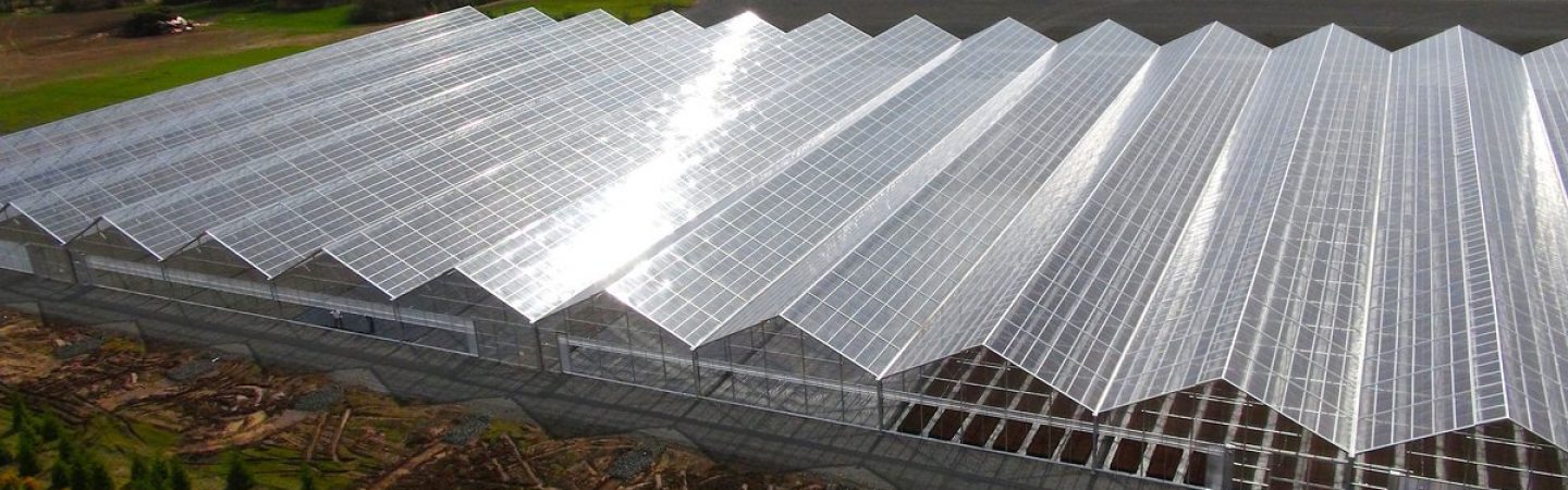 Greenhouse Plastic
